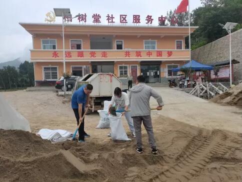 勉县镇川镇人大在防汛抗疫抢收一线彰显人大力量