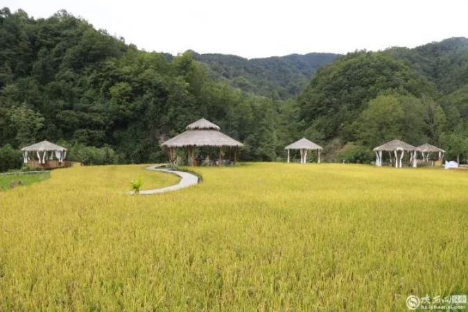 当前位置:>首页>县区人大>来到铁锁关镇河口村河田田亲子农场,颇有新